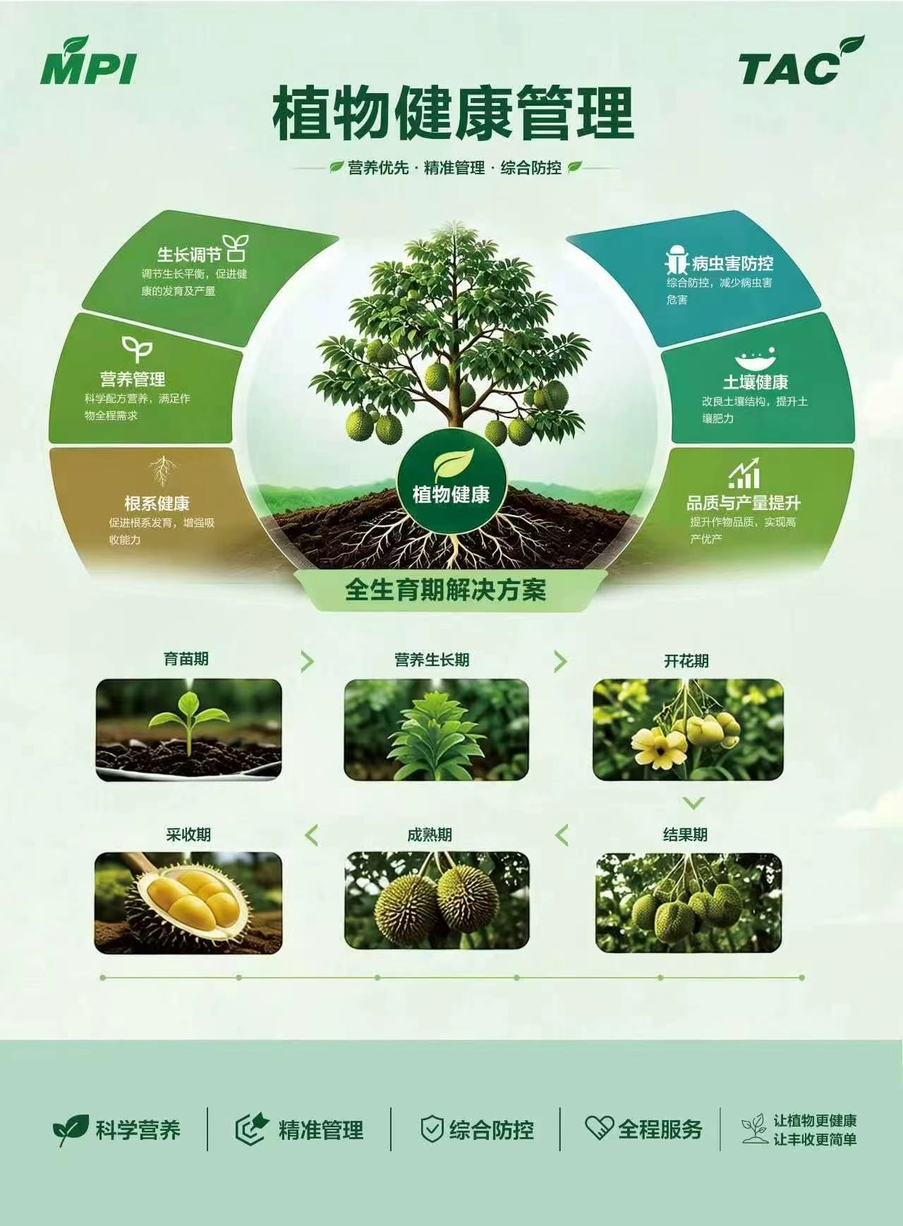 MPI/TAC植物健康管理原始资料：六项管理内容和六个生育阶段